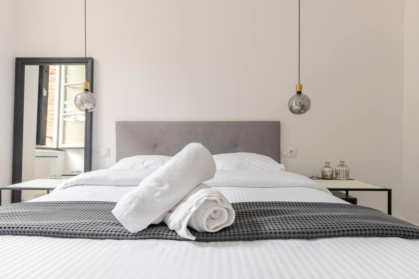 Appartement Albi Parking Gratuit Dış mekan fotoğraf