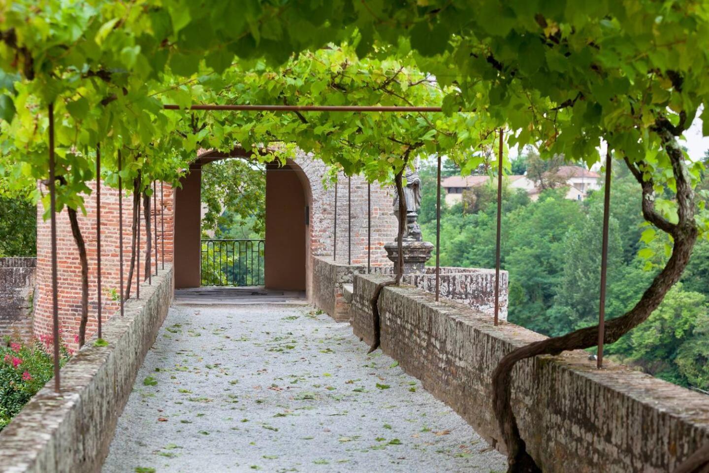Appartement Albi Parking Gratuit Dış mekan fotoğraf